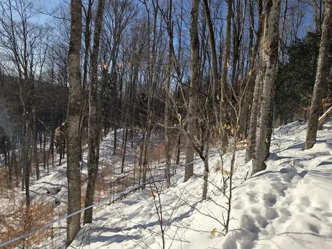 0 Route 66 Randolph VT 05060