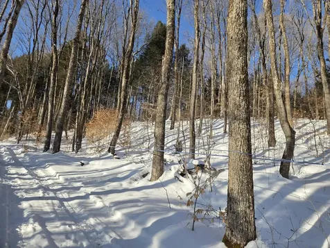 0 Route 66 Randolph VT 05060