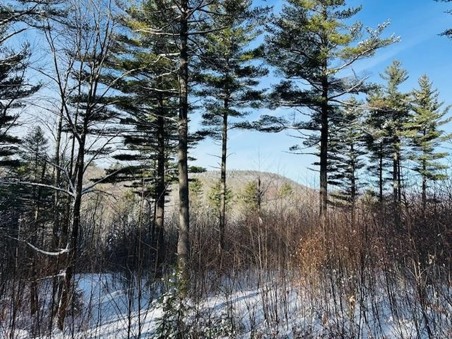 2378 Deer Park Road Halifax VT 05358