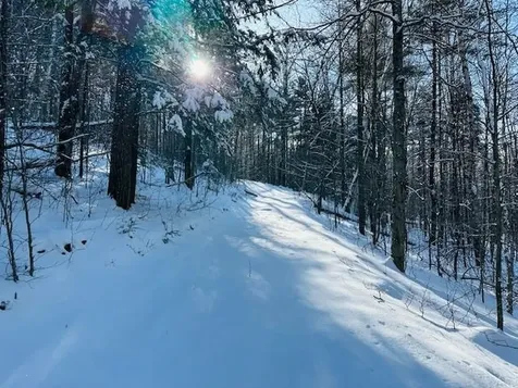 2378 Deer Park Road Halifax VT 05358