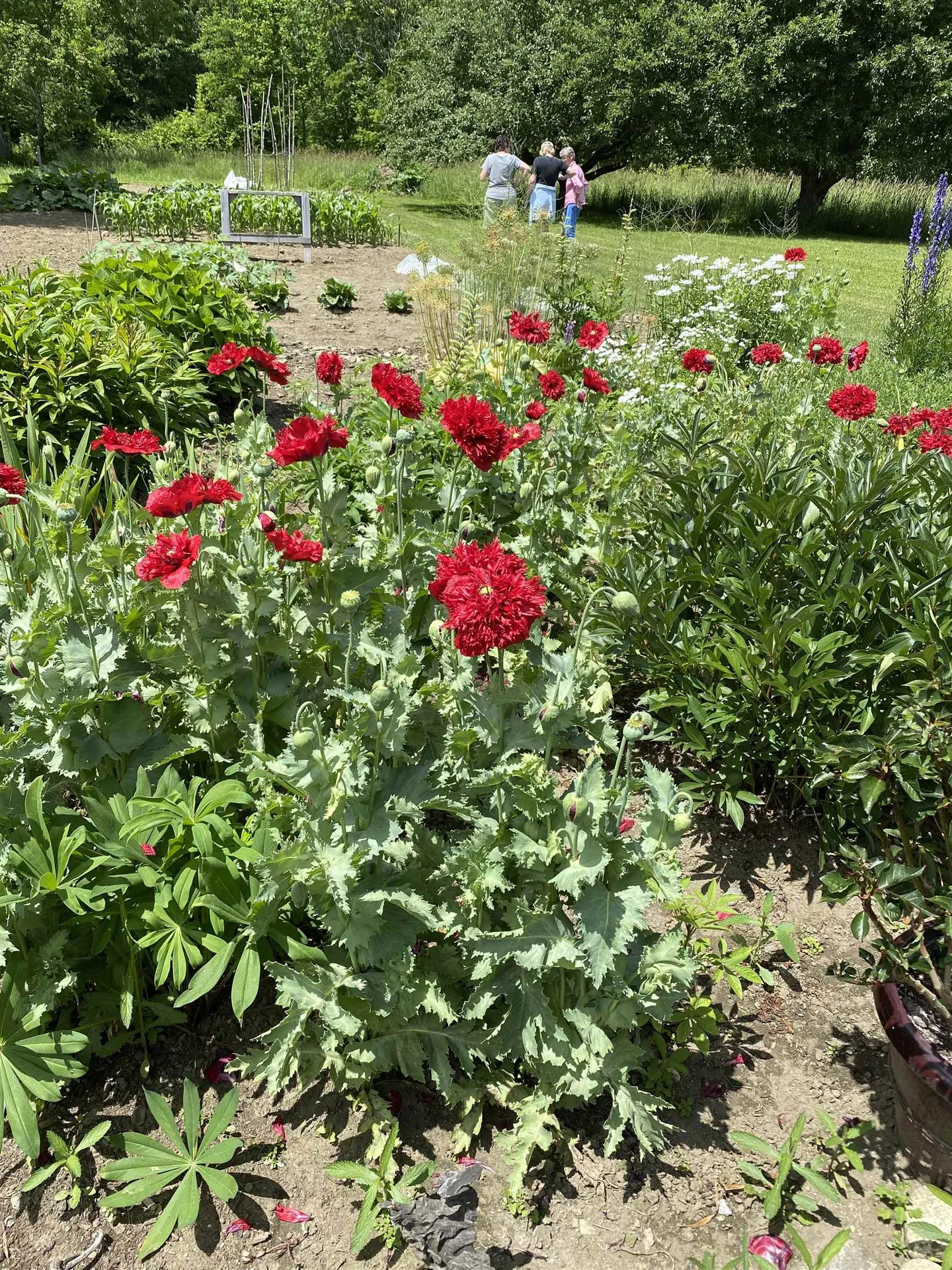 317 Vt Route 110 Chelsea VT 05038