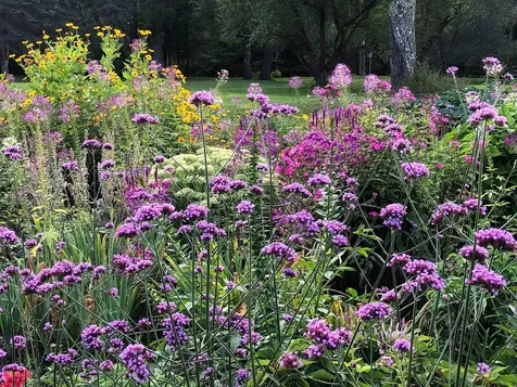 317 Vt Route 110 Chelsea VT 05038