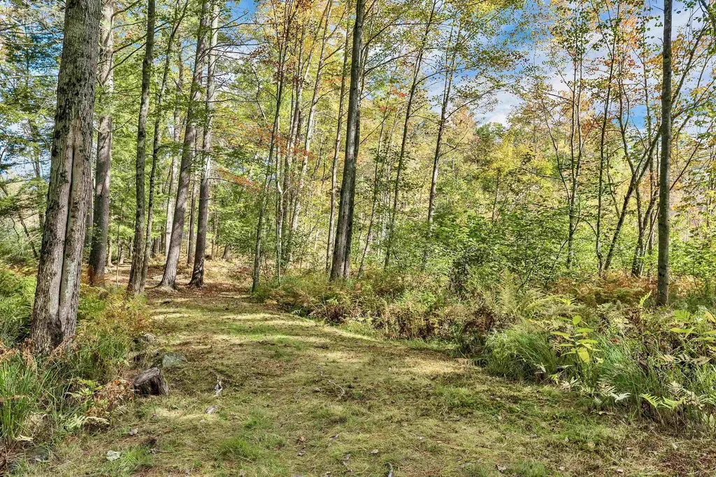 19 Cotton Mountain Road Wolfeboro NH 03894