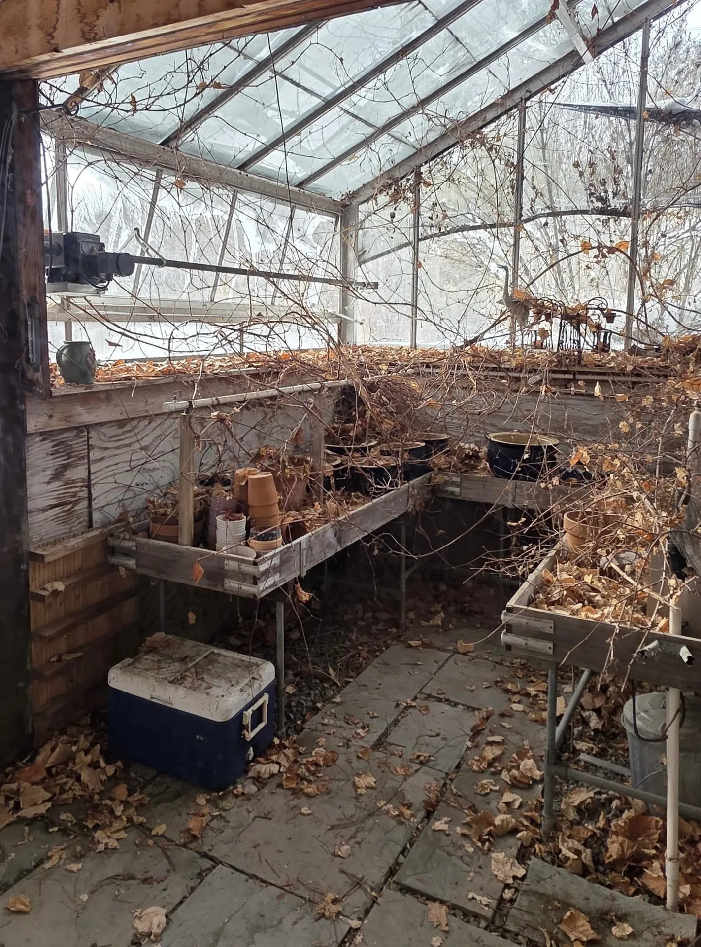 49 Nashville Road Jericho VT 05465