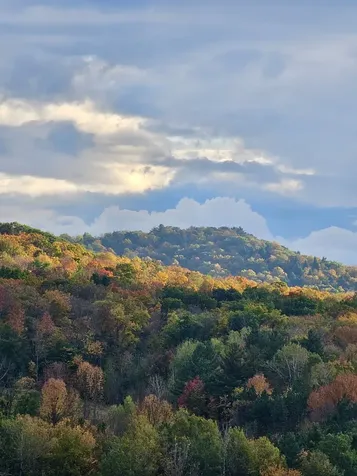 49 Nashville Road Jericho VT 05465