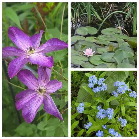 49 Nashville Road Jericho VT 05465