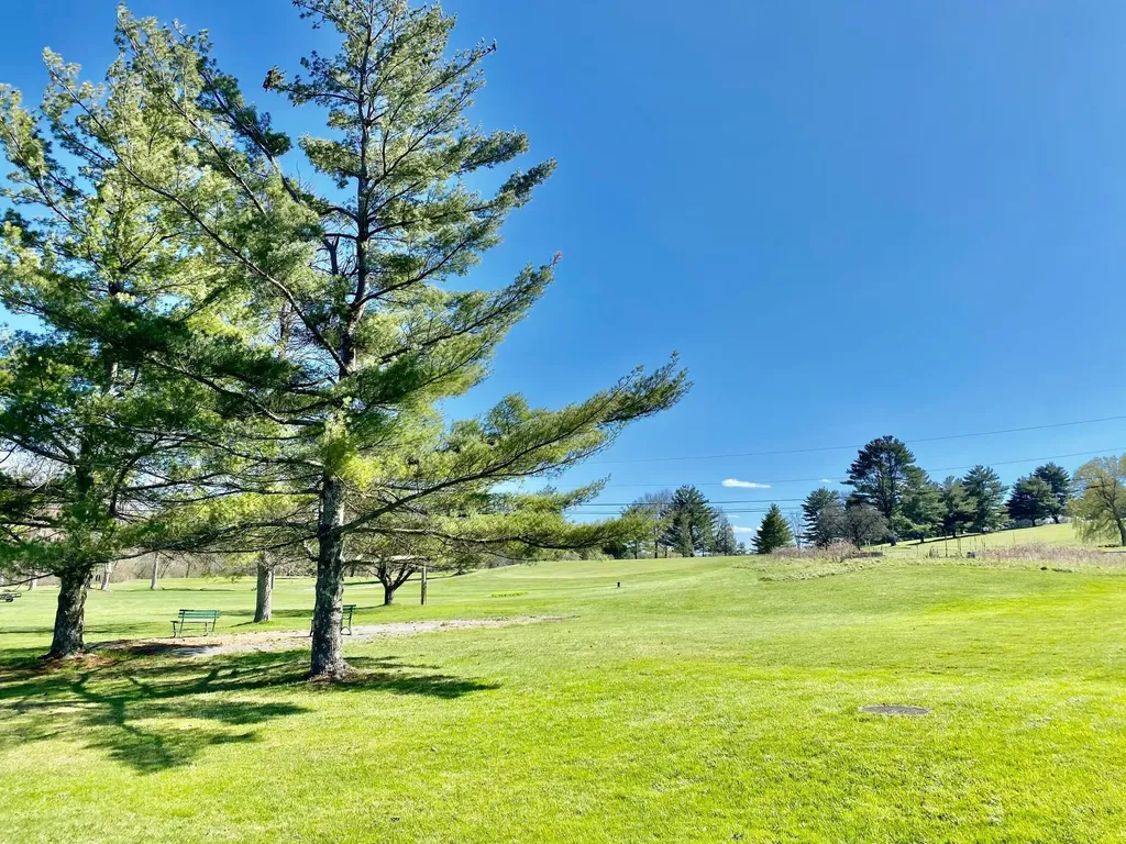 111 Prospect Point Road Castleton VT 05735