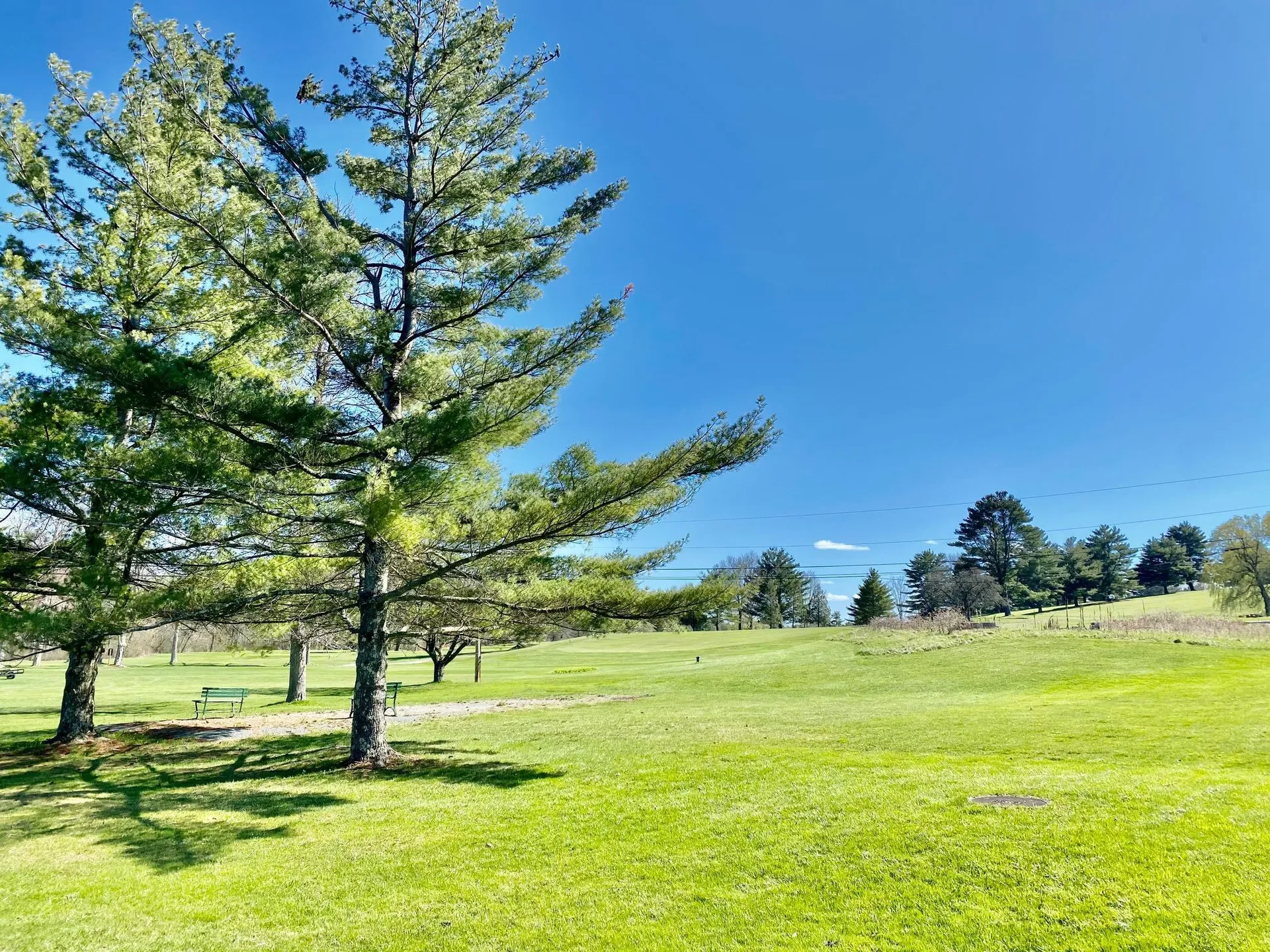 111 Prospect Point Road Castleton VT 05735