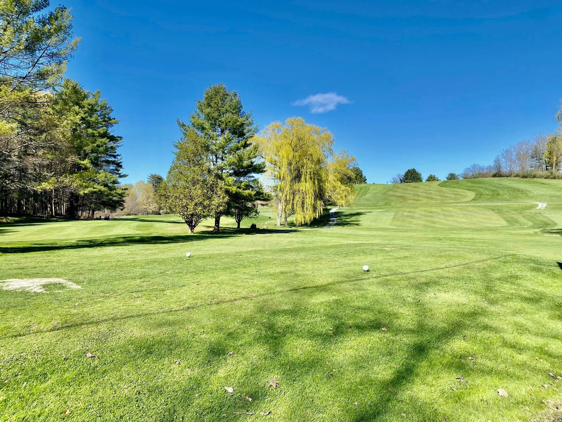 111 Prospect Point Road Castleton VT 05735