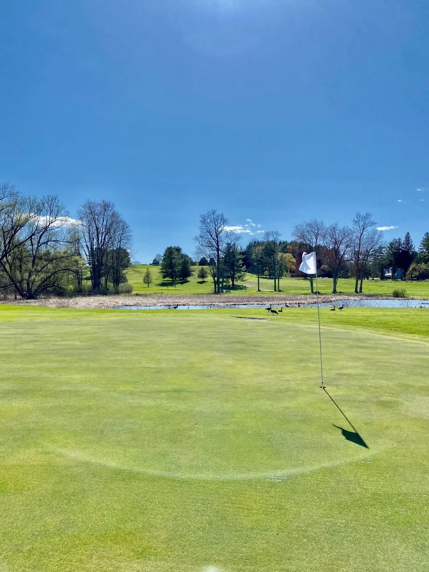 111 Prospect Point Road Castleton VT 05735