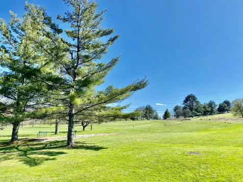 111 Prospect Point Road Castleton VT 05735