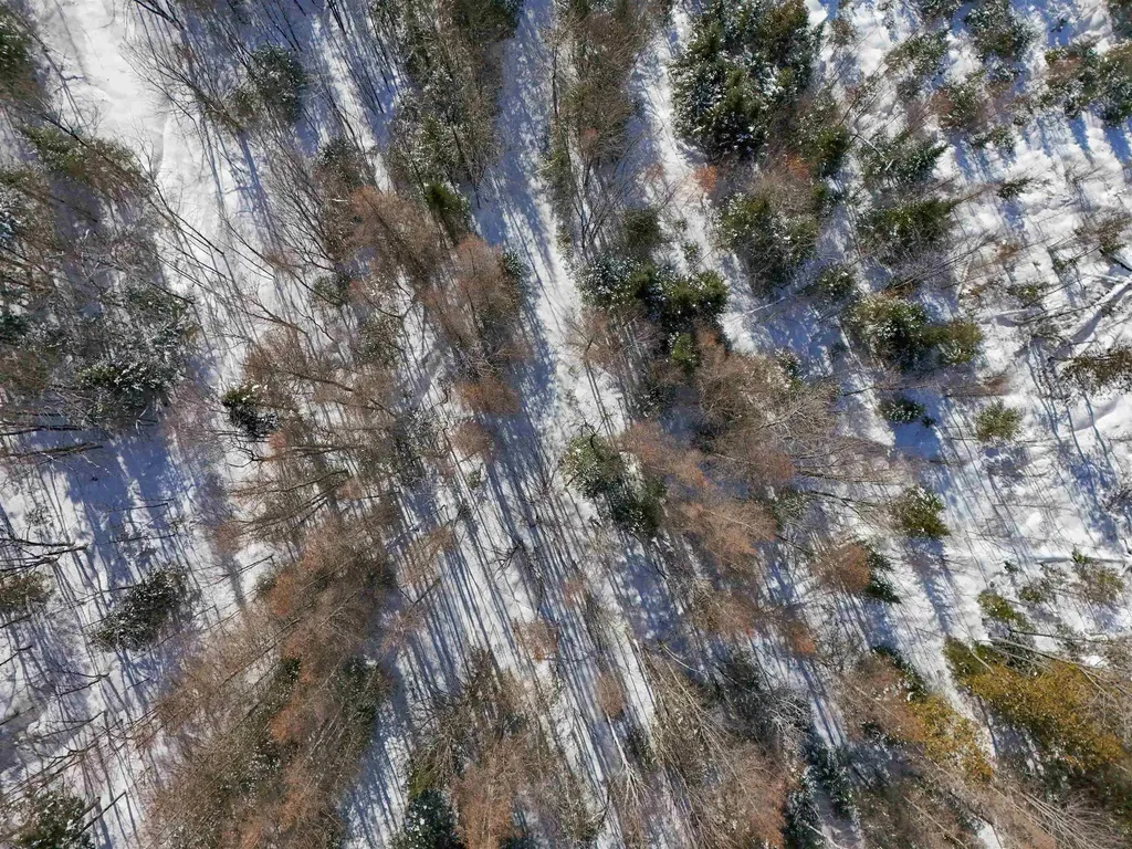 0 Burke Hollow Road Burke VT 05871