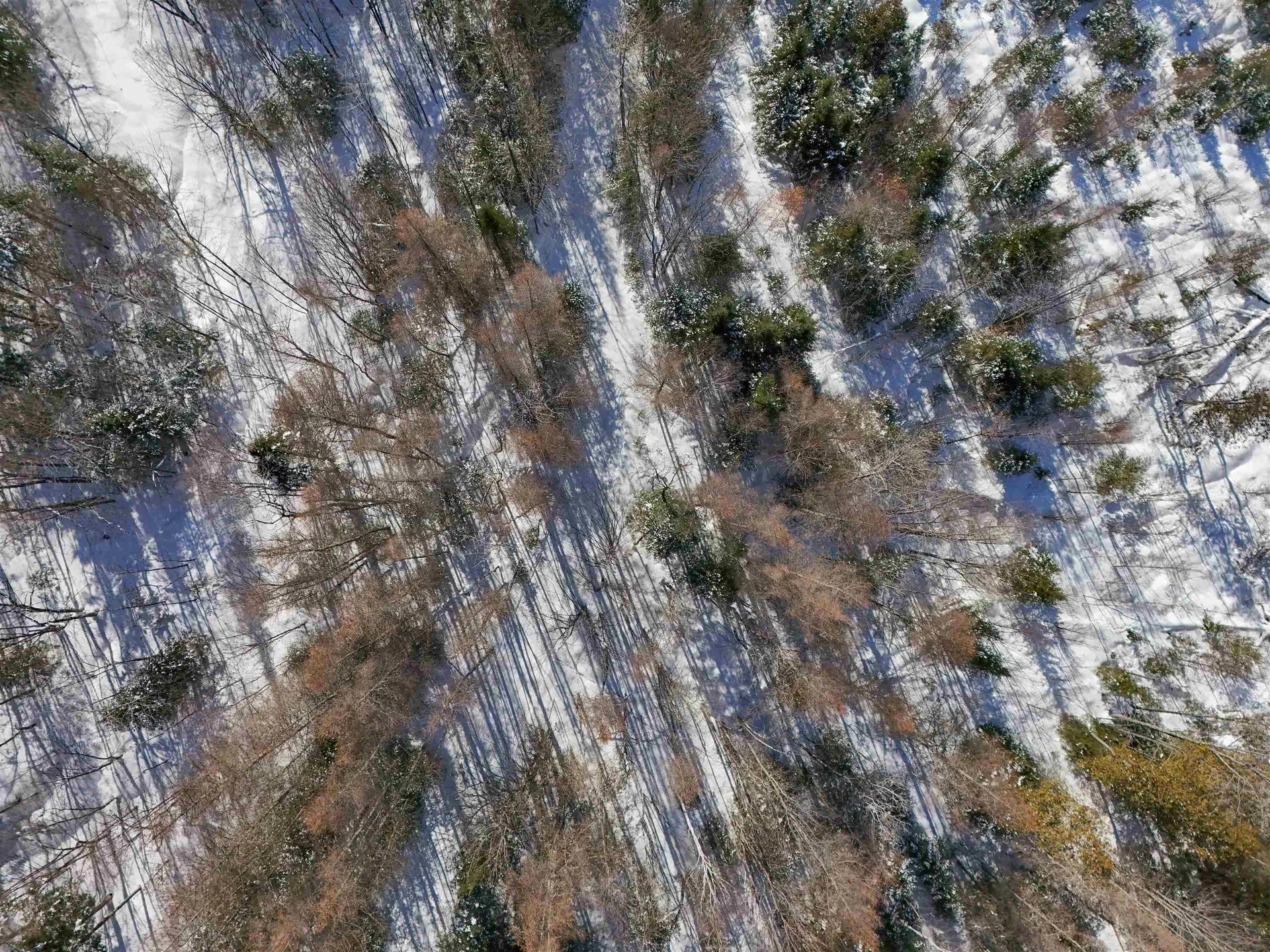 0 Burke Hollow Road Burke VT 05871