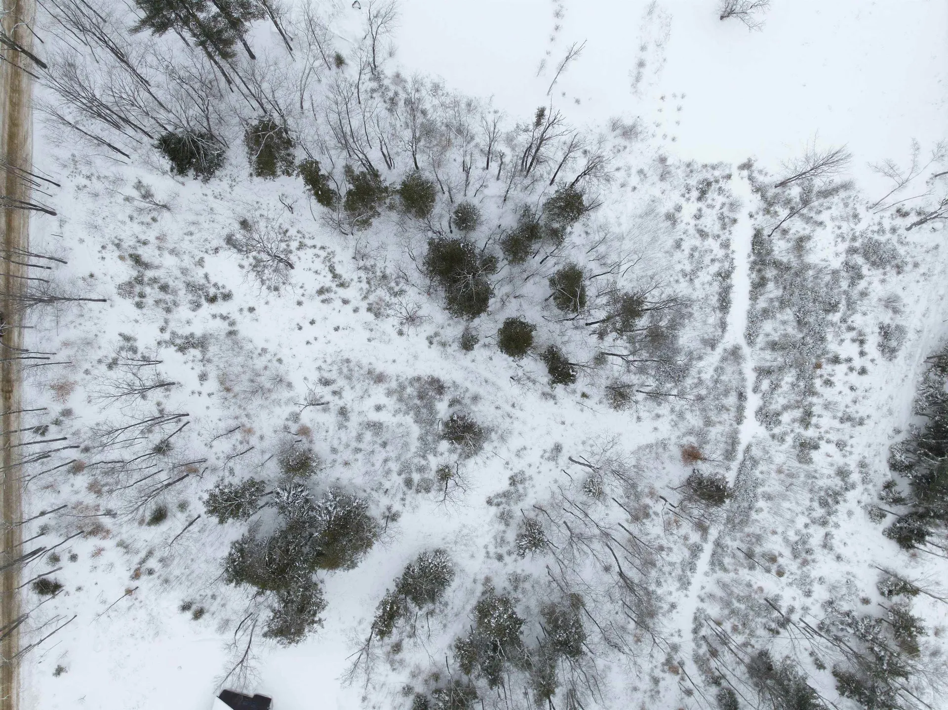 00 Birch Hill Road Sutton NH 03221