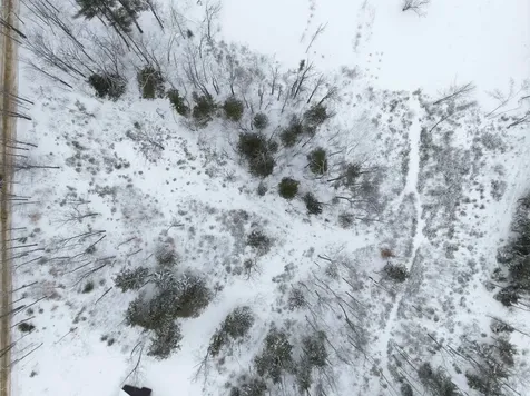 00 Birch Hill Road Sutton NH 03221