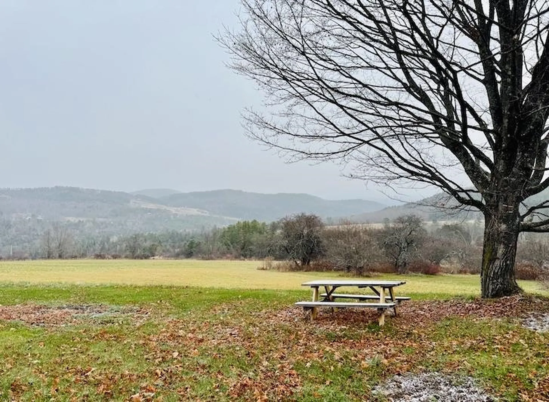 762A Mclaren Hill Road Barnet VT 05821