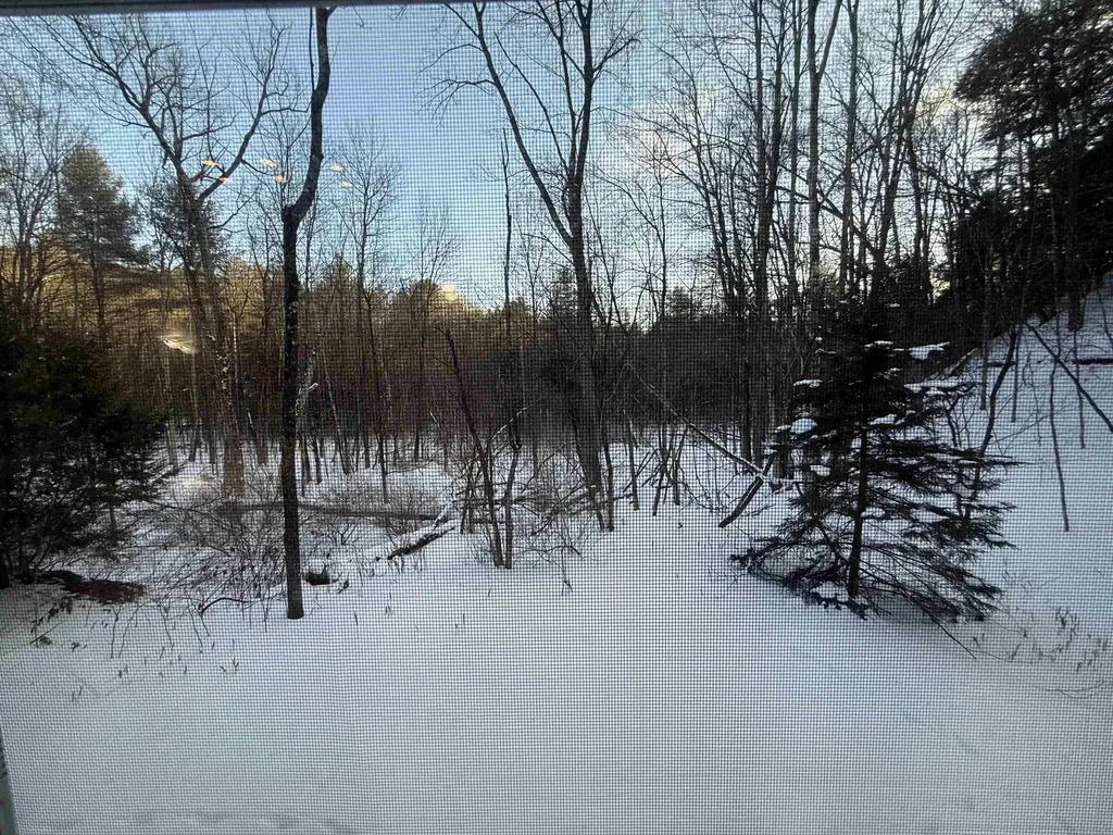 62 Silver Birch Place Rutland Town VT 05701