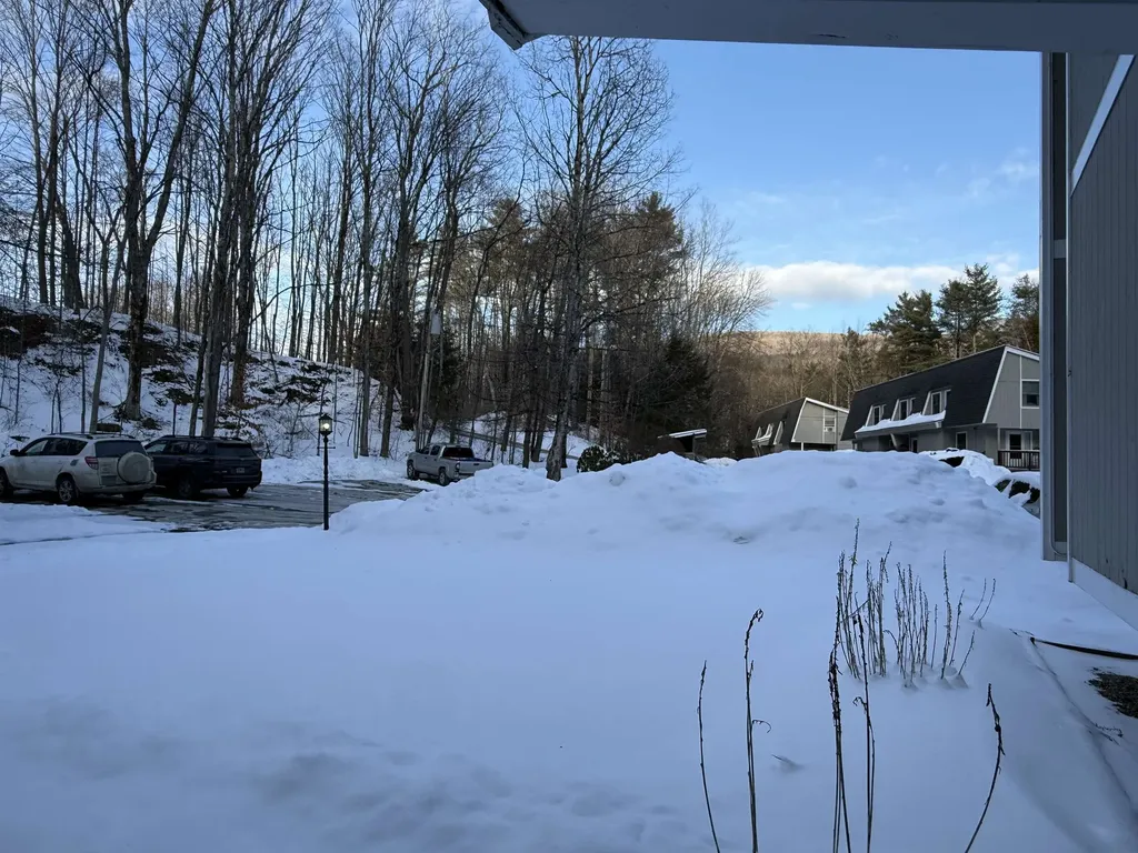 62 Silver Birch Place Rutland Town VT 05701