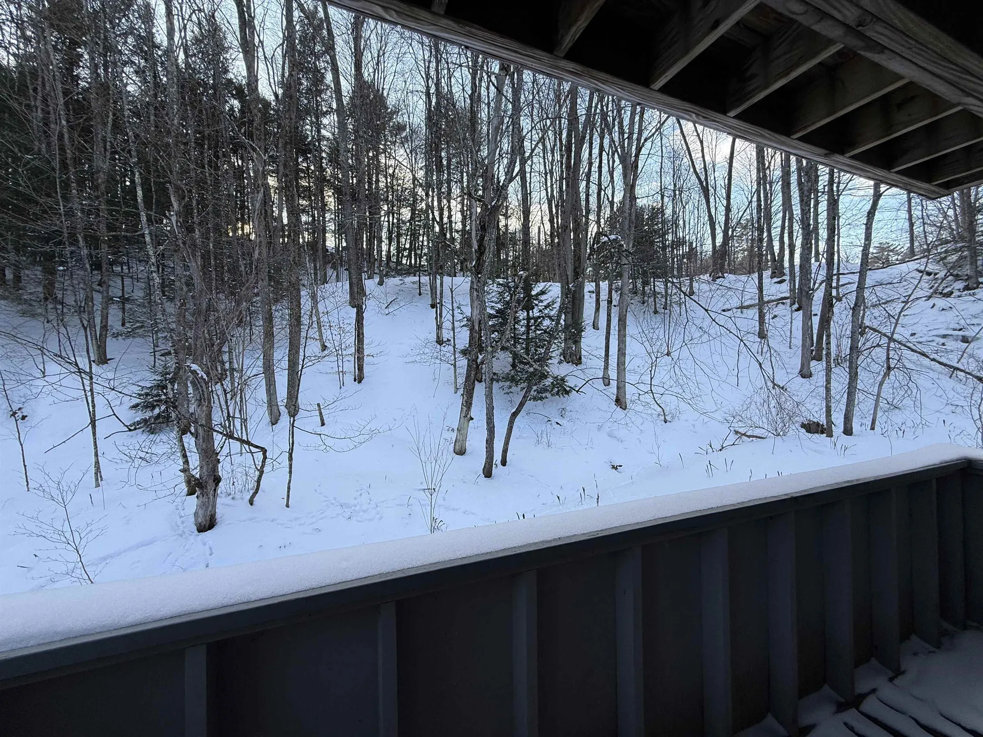 62 Silver Birch Place Rutland Town VT 05701