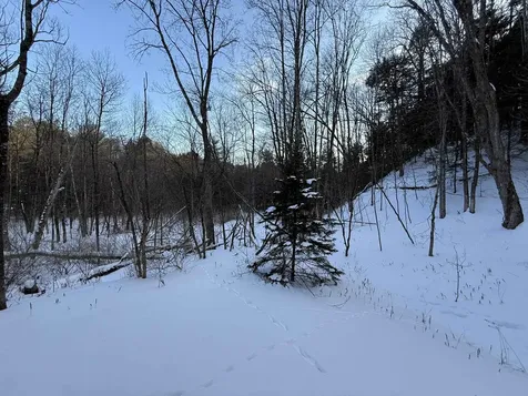 62 Silver Birch Place Rutland Town VT 05701