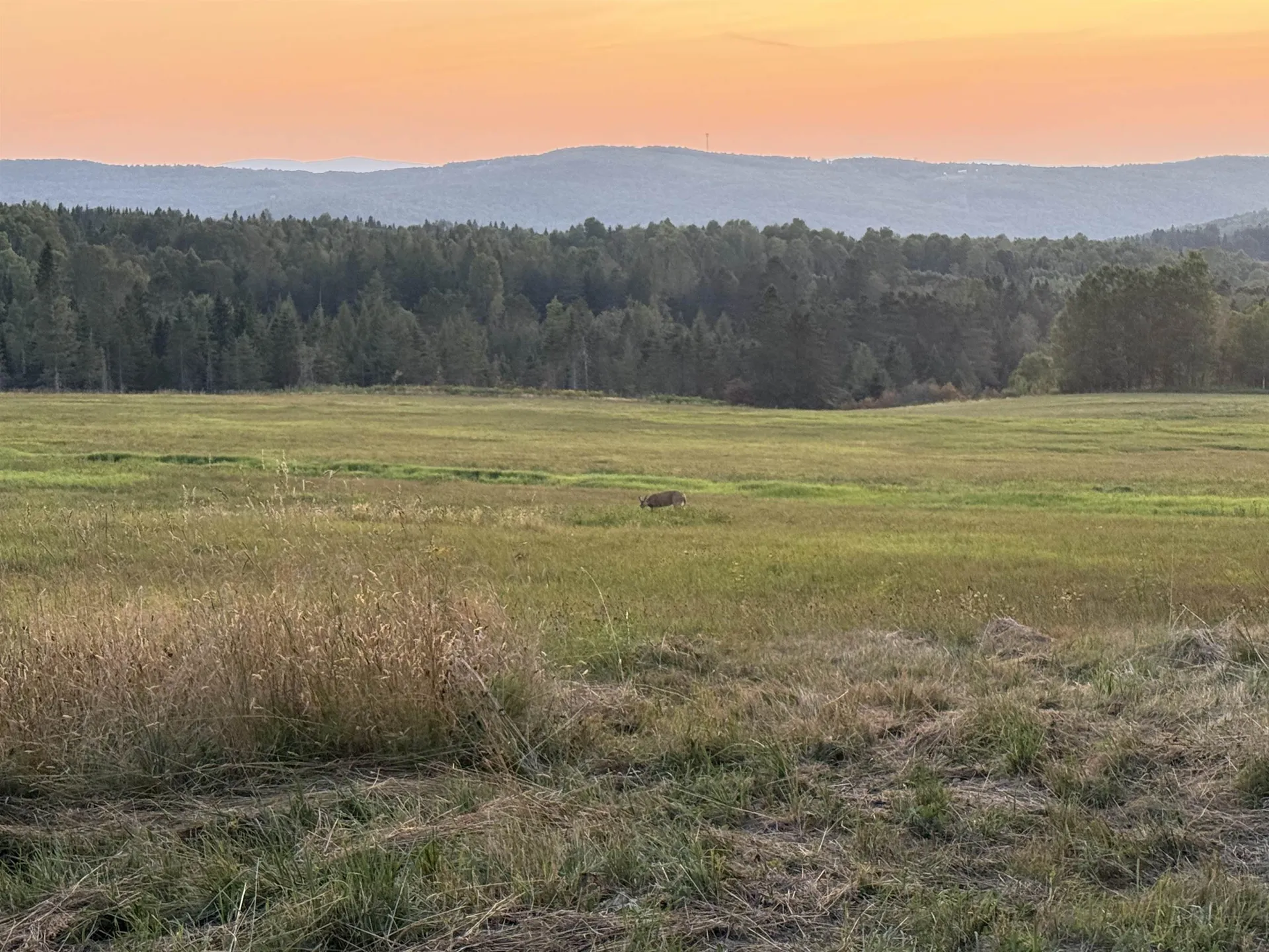 Lot 1 Creampoke Road Stewartstown NH 03576