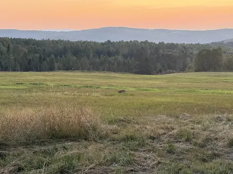 Lot 1 Creampoke Road Stewartstown NH 03576