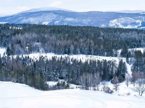 Lot 1 Creampoke Road Stewartstown NH 03576