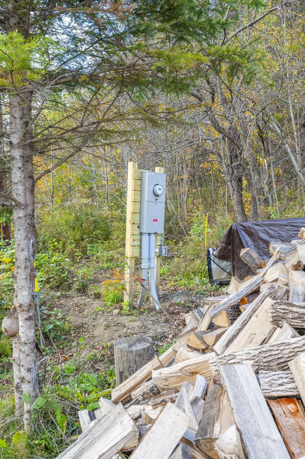 534 Us Route 2 Cabot VT 05647