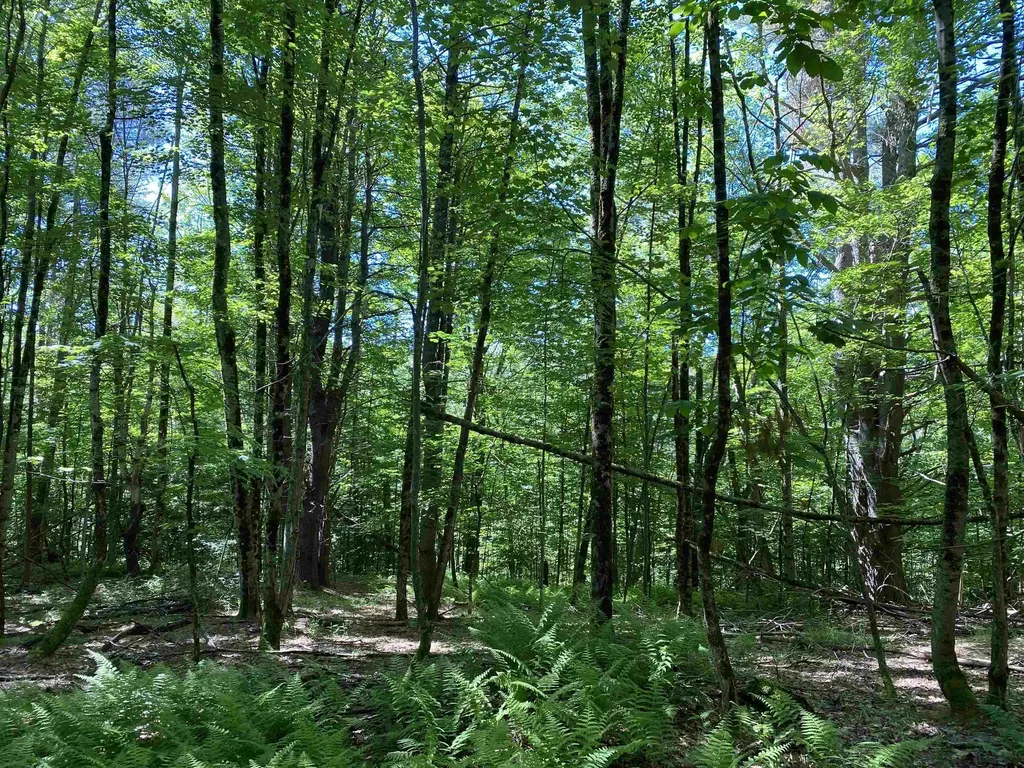 18 Catamount Road Pittsfield NH 03263