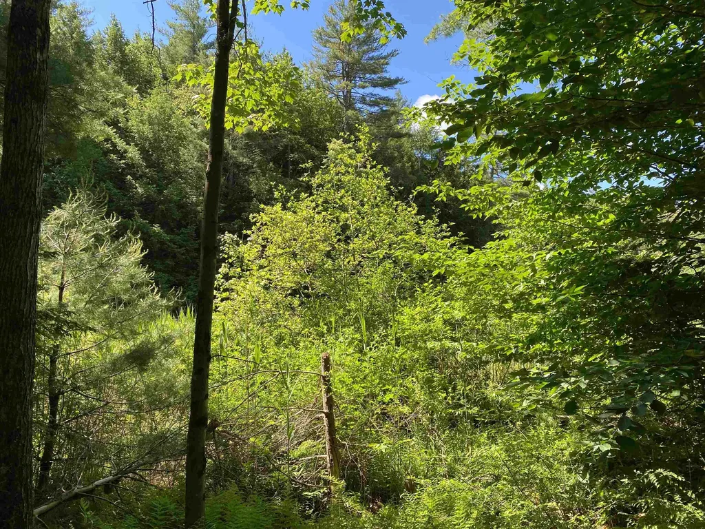 18 Catamount Road Pittsfield NH 03263