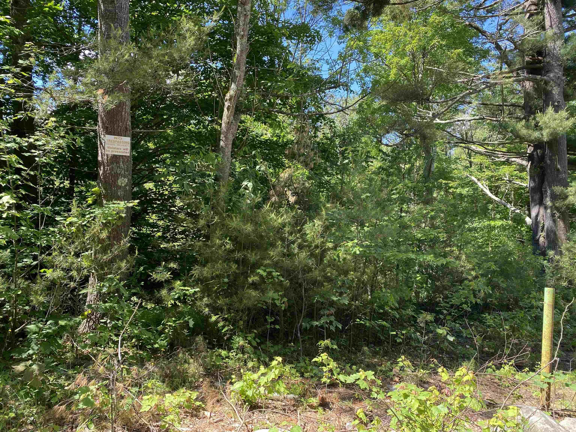 18 Catamount Road Pittsfield NH 03263