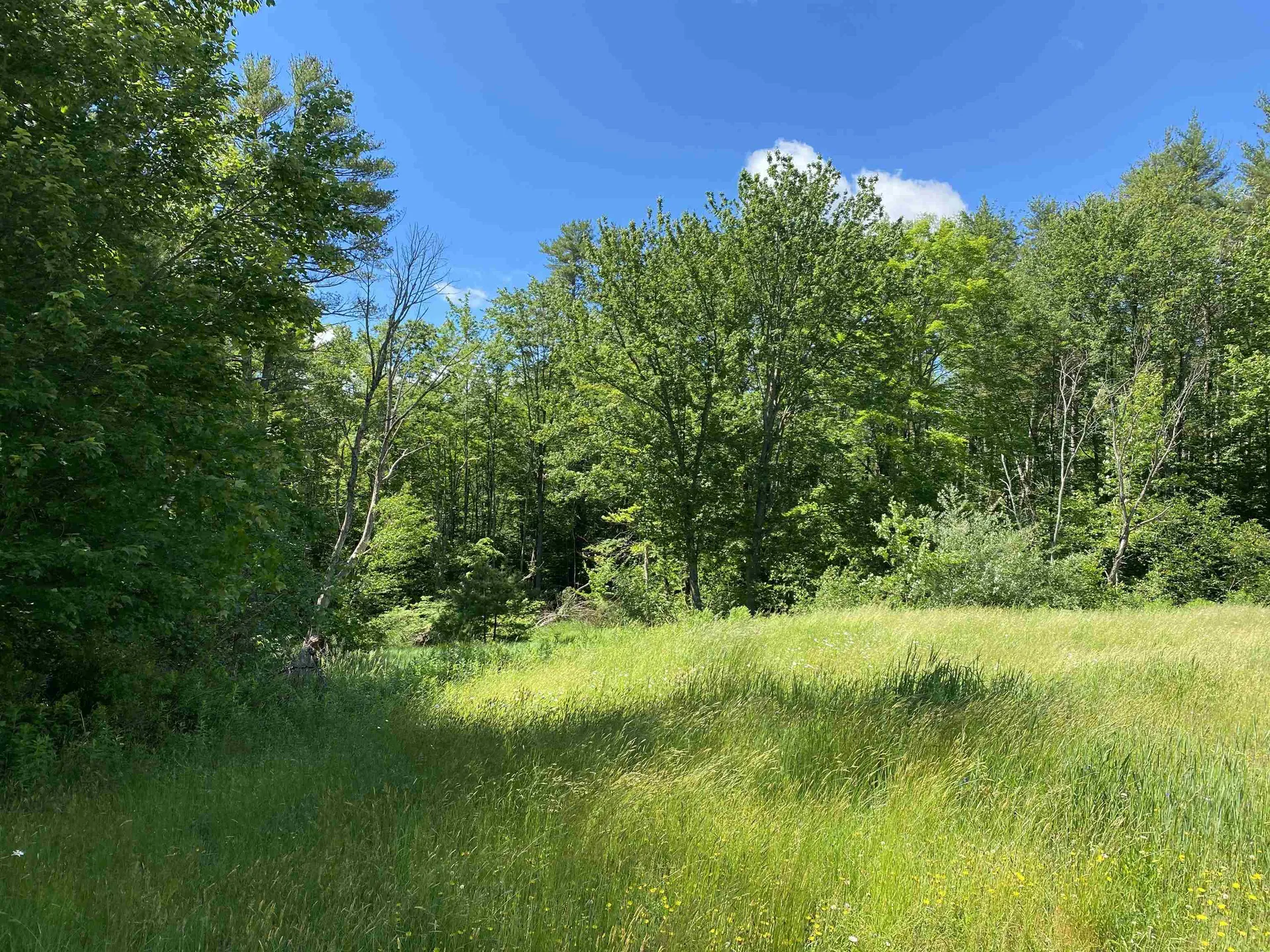 18 Catamount Road Pittsfield NH 03263