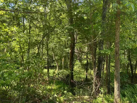 18 Catamount Road Pittsfield NH 03263