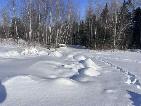 288 George Street Orange VT 05641