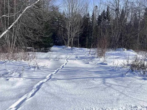 288 George Street Orange VT 05641