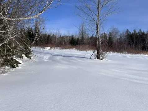 288 George Street Orange VT 05641