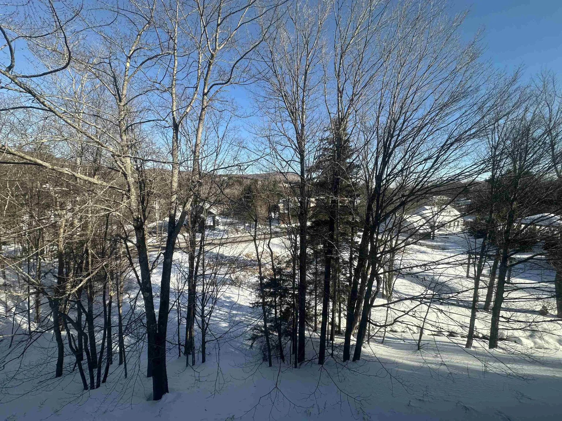 4 Sportscenter Village Way Dover VT 05356