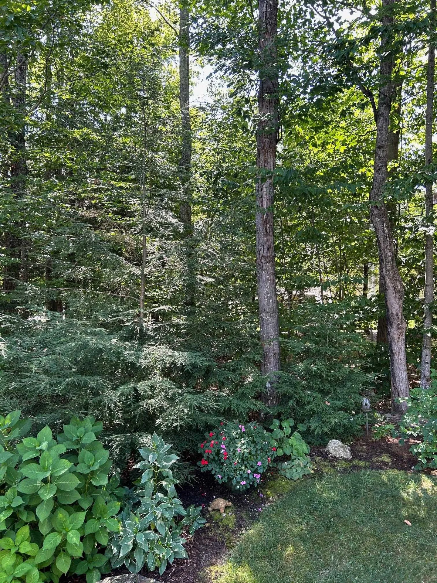 37 Drew Lane Laconia NH 03246