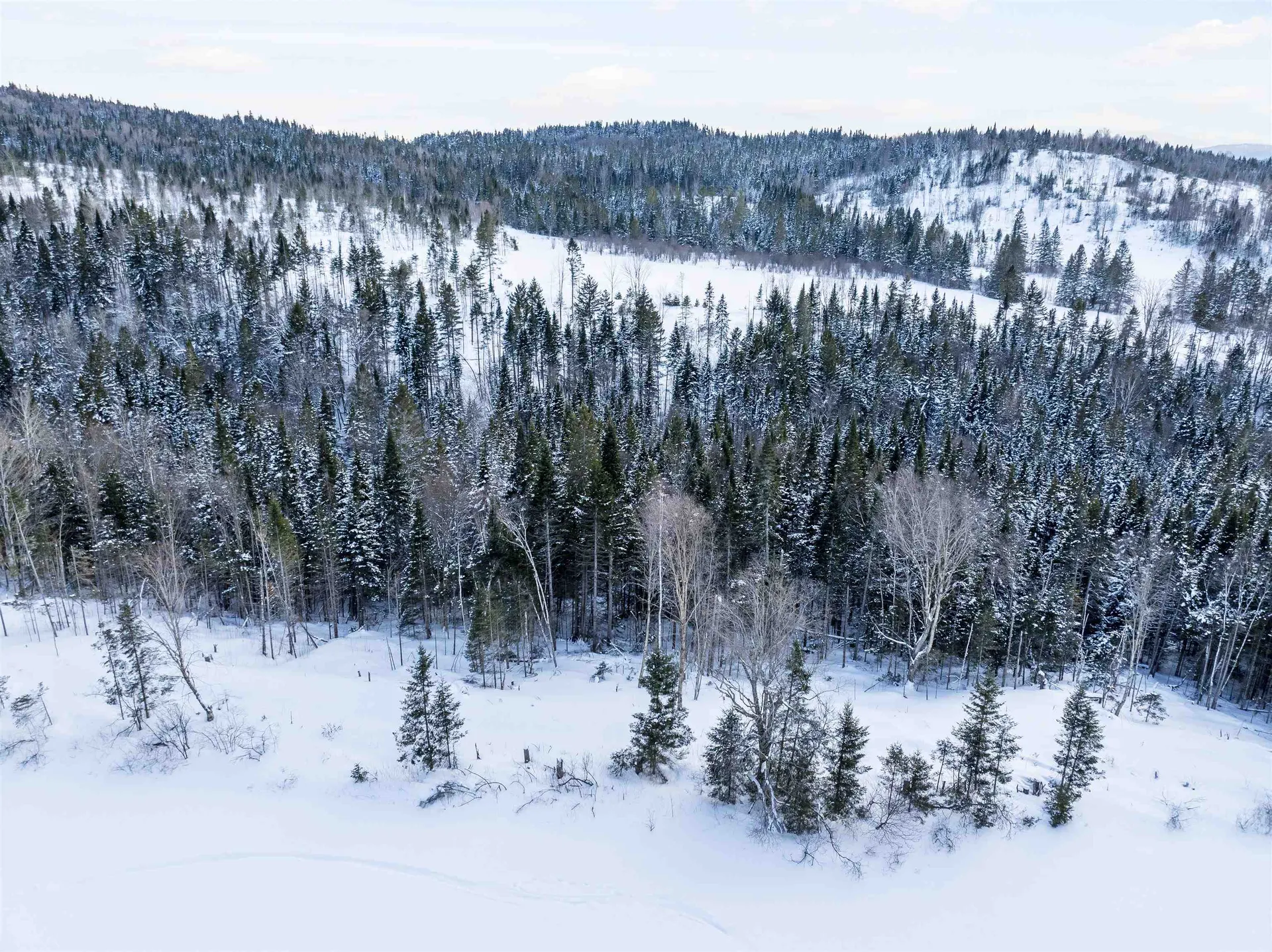 Lot 3 Creampoke Road Stewartstown NH 03576