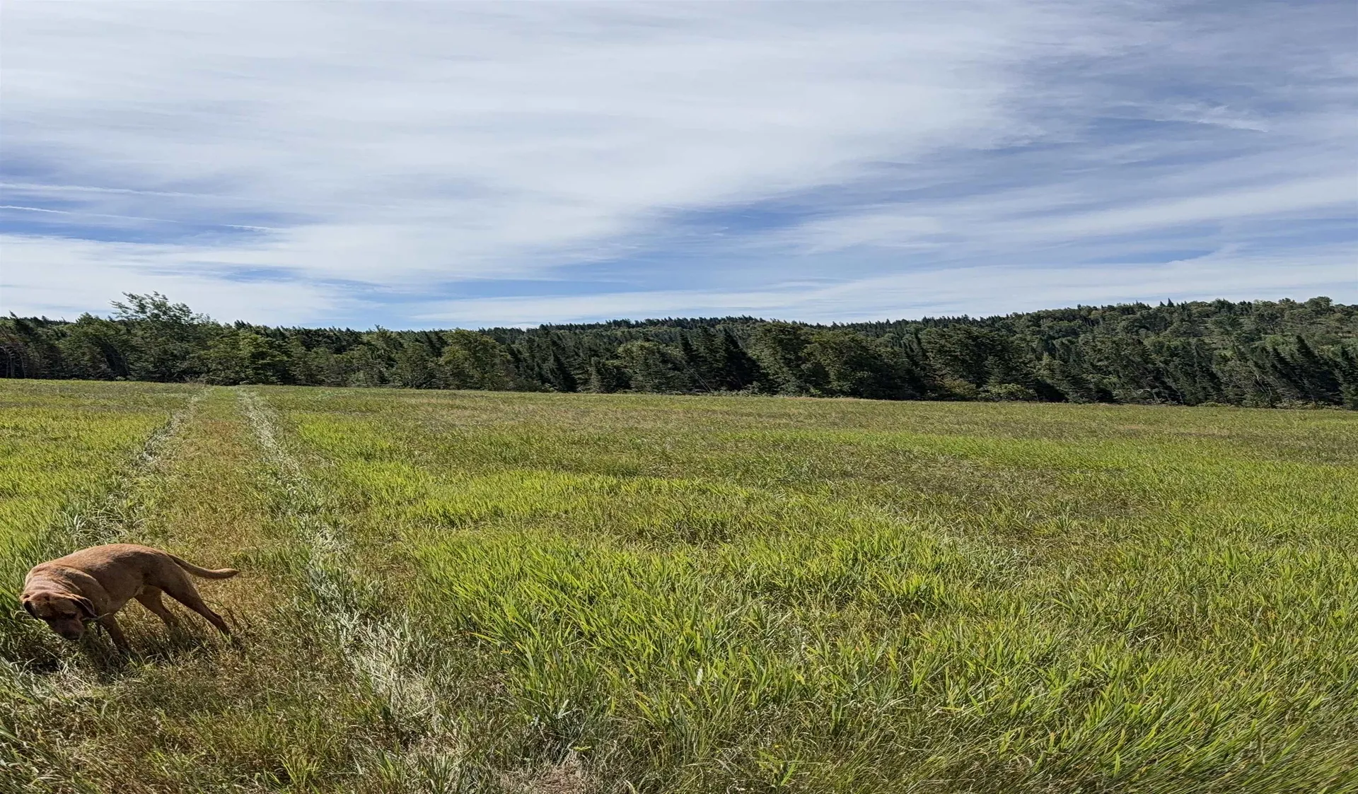 Lot 3 Creampoke Road Stewartstown NH 03576