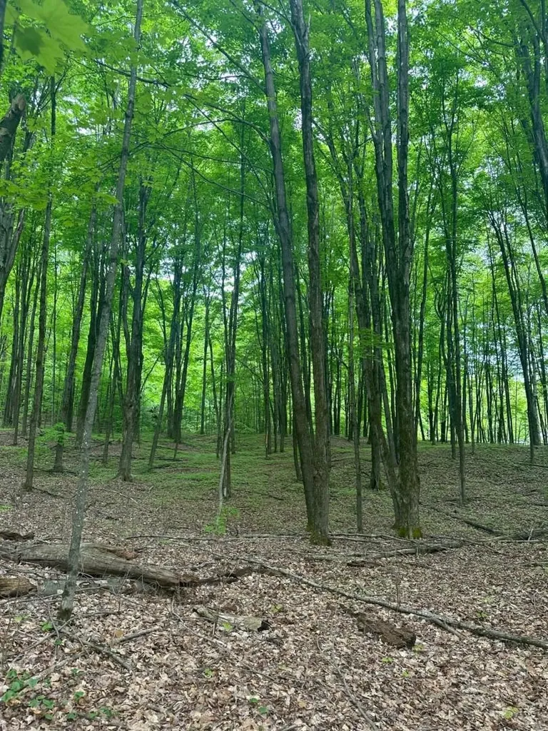 00 Observatory Road Hinesburg VT 05461