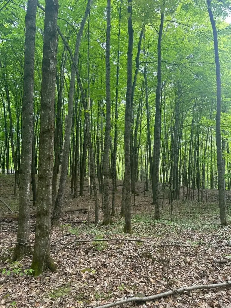 00 Observatory Road Hinesburg VT 05461