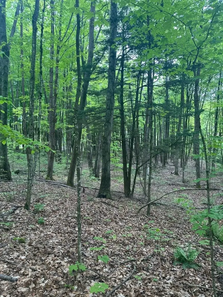 00 Observatory Road Hinesburg VT 05461