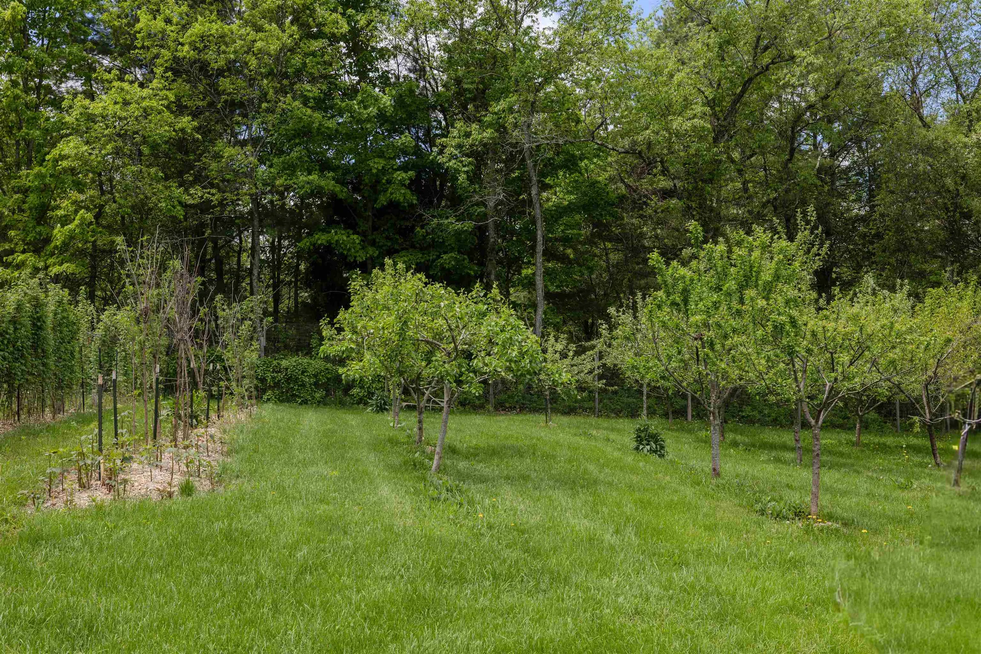 1168 New Hampton Road Sanbornton NH 03269