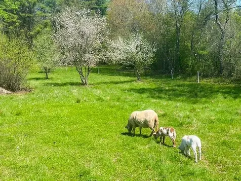 1168 New Hampton Road Sanbornton NH 03269