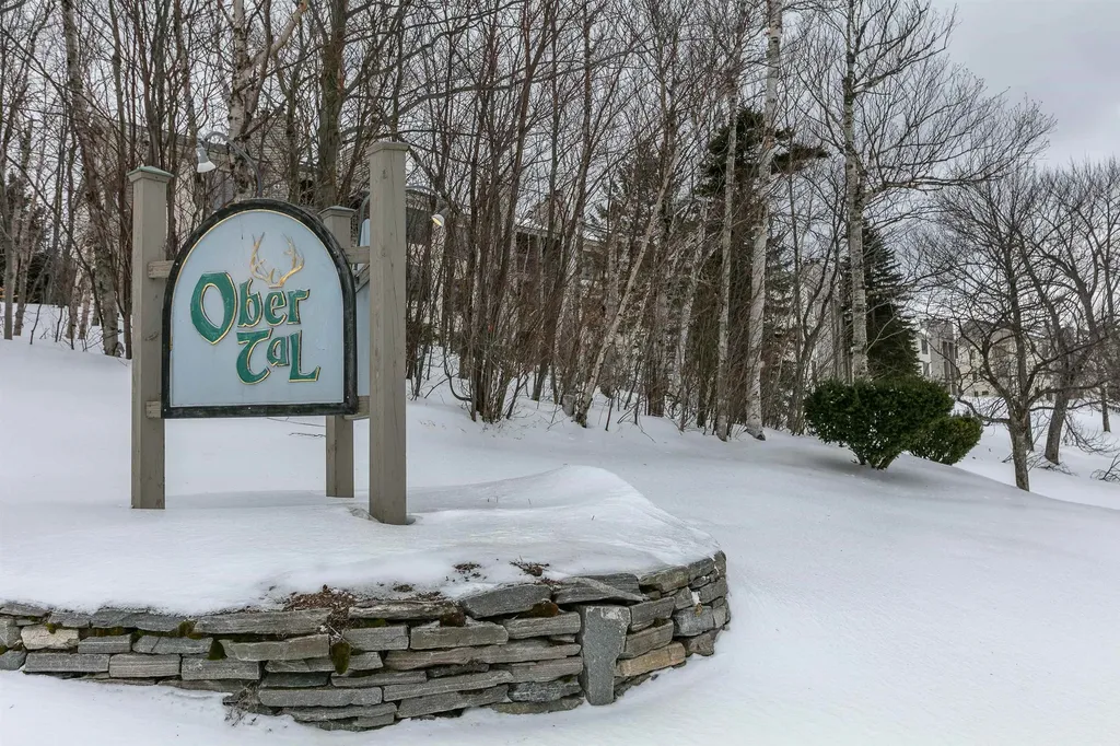 18 Ober Tal Drive Stratton VT 05155