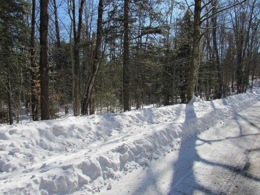 000F-320 Bourbon Run Jamaica VT 05343