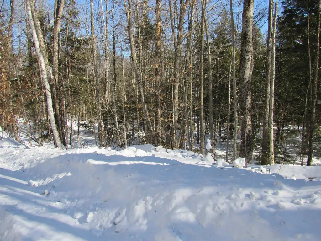 000F-320 Bourbon Run Jamaica VT 05343