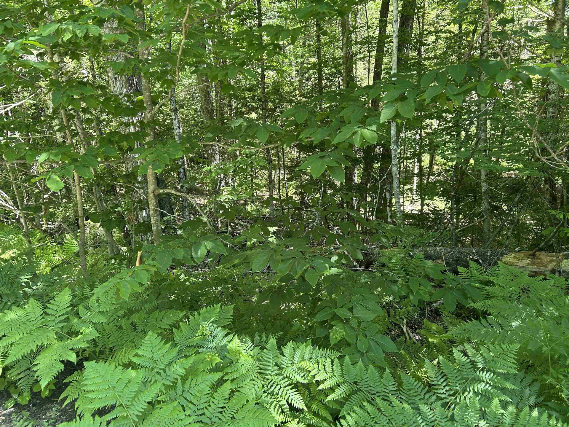 000F-320 Bourbon Run Jamaica VT 05343