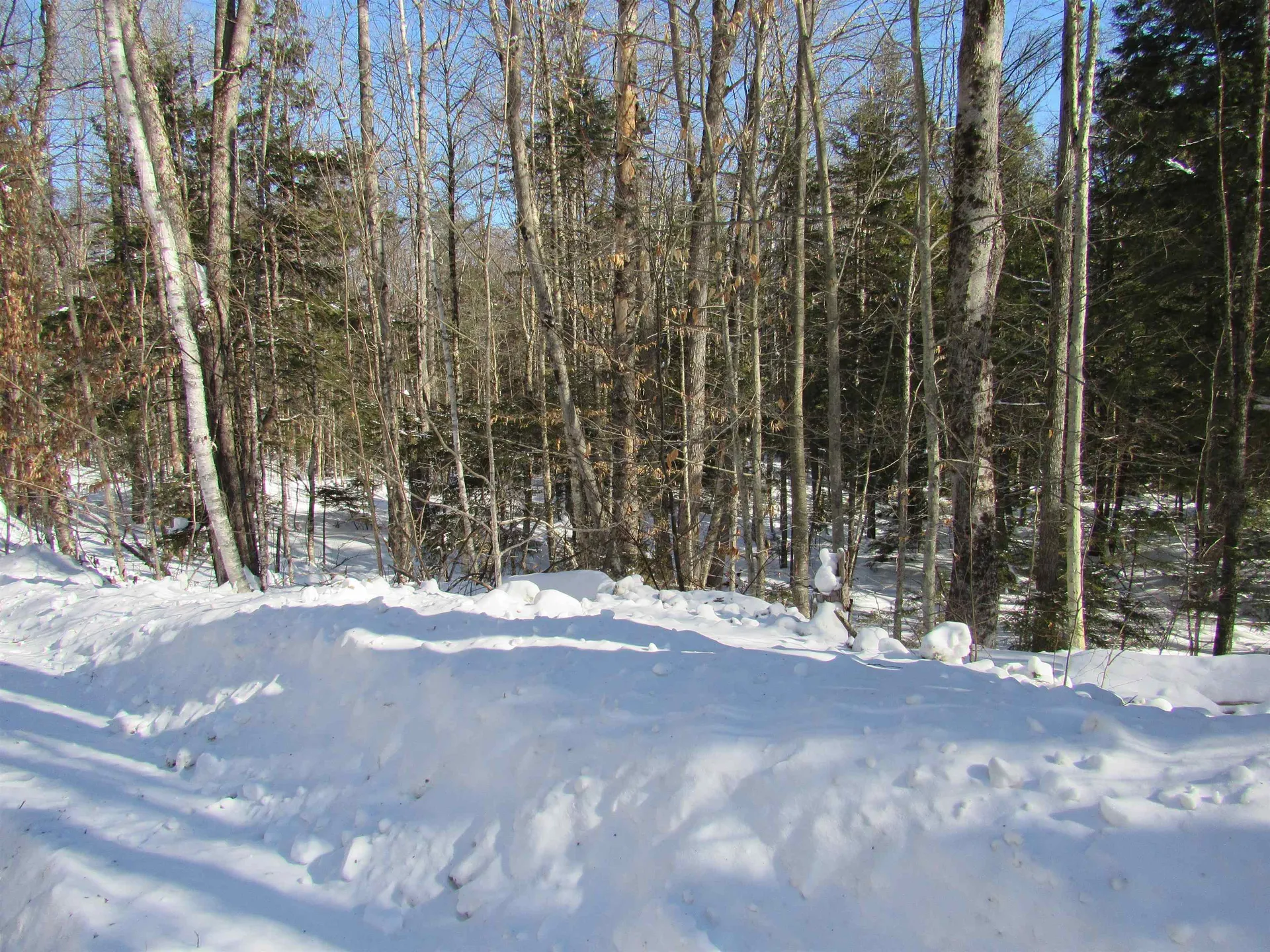 000F-320 Bourbon Run Jamaica VT 05343